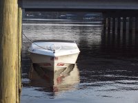 100_1078.JPG
