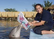 visit_getwet_meetdolphin.jpg