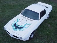 73 Trans Am 009.jpg