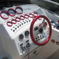 scarab29