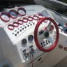 scarab29
